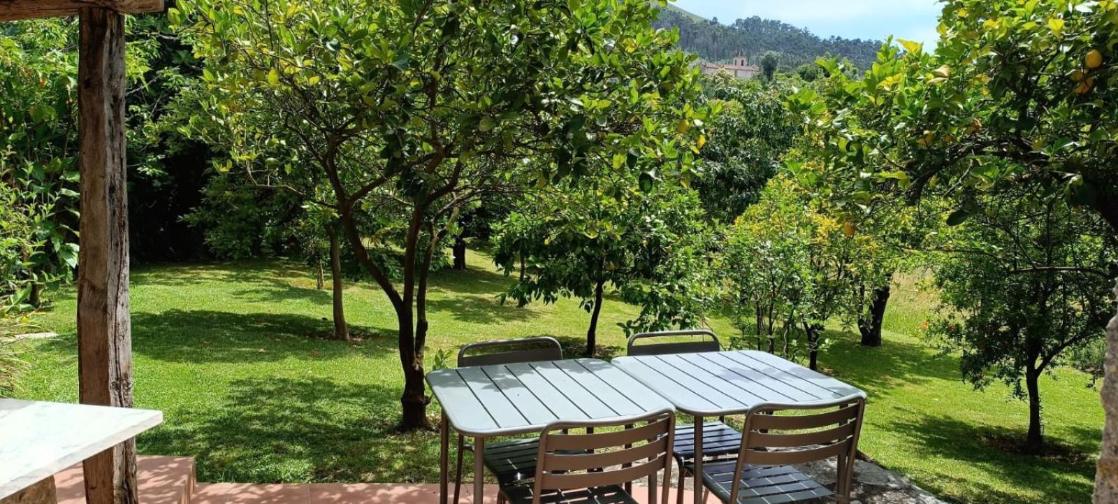 Casa Roupar Villa Terras de Bouro Bagian luar foto